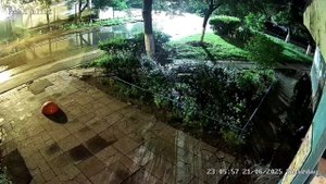 👍👍👍👍👍👍 «Мы жильцы дома по бульвару Новосондецкий, 26 не первый раз замечаем акты вандализма