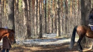 Конная прогулка 6 апреля