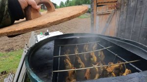 Закрываем весенний сезон продольников Заключительная вечерняя проверка 13.06.25