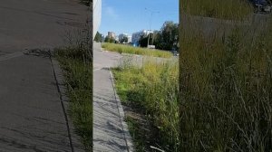 VID_20250623_085239