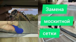 Замена москитной сетки
