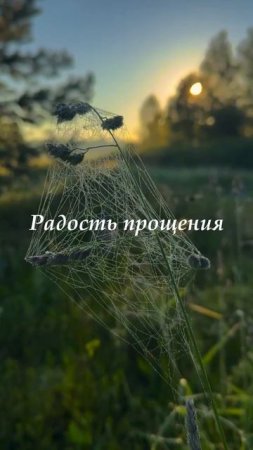 Александр Тремаскин - Фея. #music # Музыка