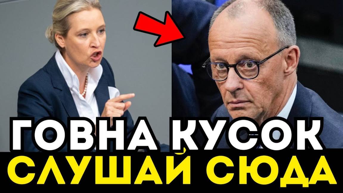 МЕРЦ НАЧАЛ ЗАИКАТЬСЯ ПОСЛЕ ЭТИХ СЛОВ ВАЙДЕЛЬ! ВИДЕО