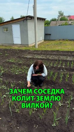 Зачем соседка колит землю вилкой
