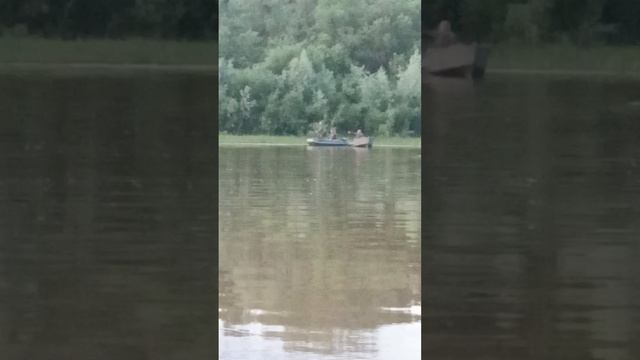 разборки с сетевиком