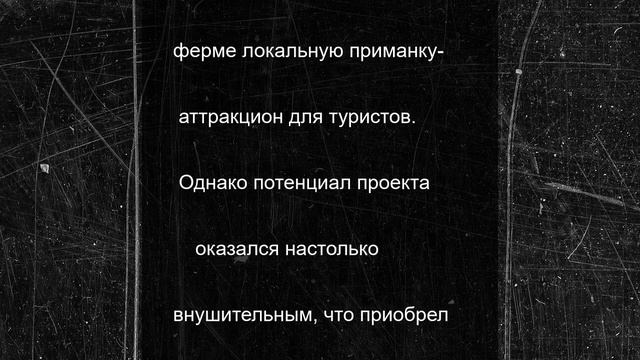 "Бараньи" фотосессии становятся новым трендом соцсетей