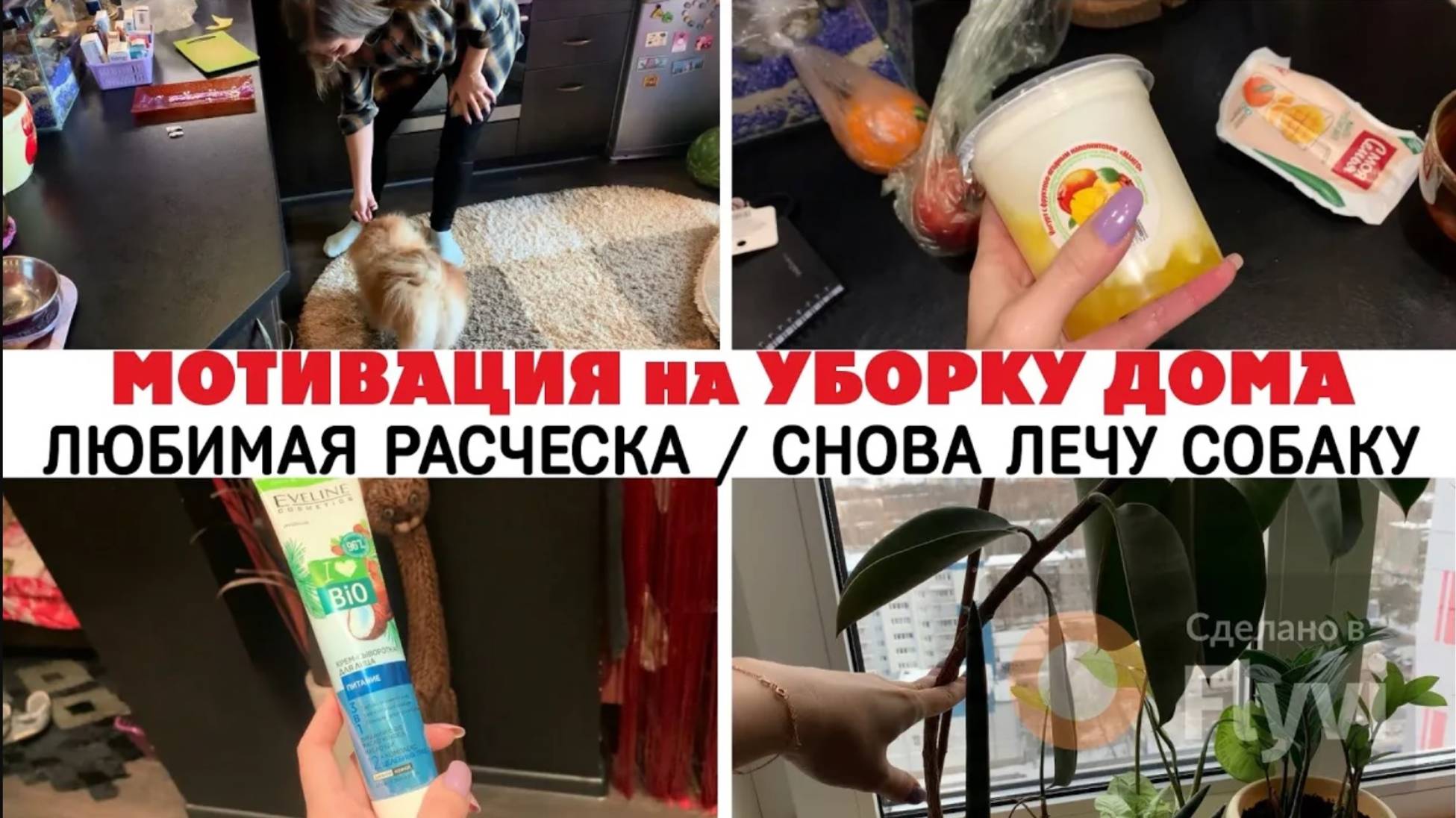 МОТИВАЦИЯ на УБОРКУ ДОМА ✅ ЛЮБИМАЯ РАСЧЕСКА 😍 СНОВА ЛЕЧУ СОБАКУ 🔥 ЗАМЕРЗЛИ ЦВЕТЫ 😳 ДОМАШНИЙ ВЛОГ
