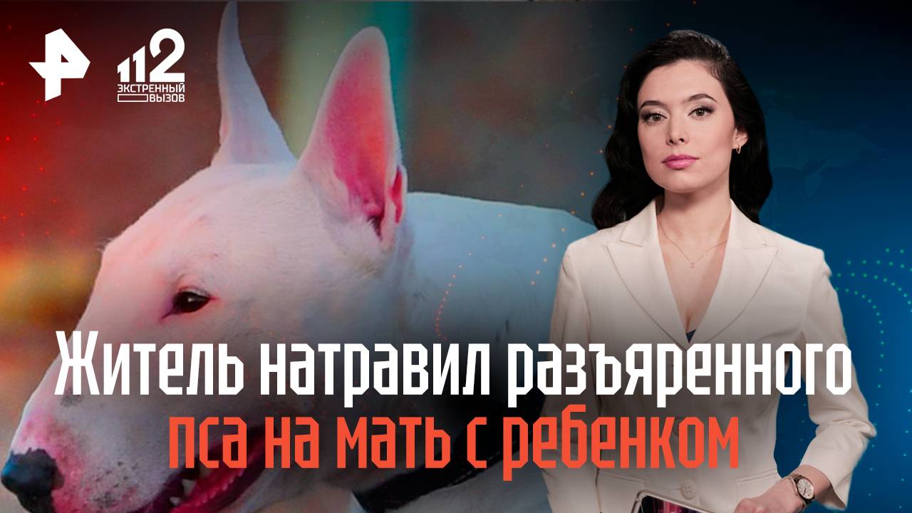 Житель Владивостока натравил разъяренного пса на мать с ребенком