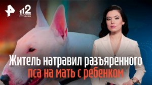 Житель Владивостока натравил разъяренного пса на мать с ребенком
