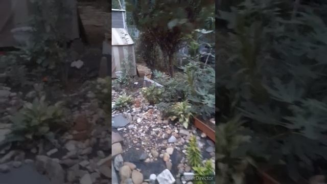 Время расставит всё по своим местам...