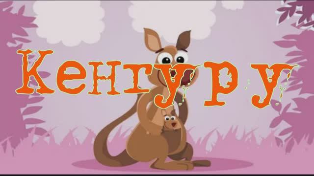 Кенгуру