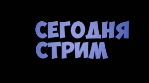 играем смаксимом и мнои котиком и мяу