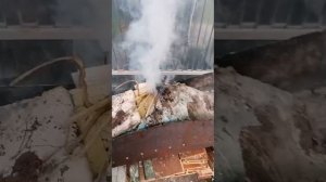 Репортаж с дачи!!!