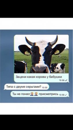 Корова - с иллюзией зрительной!.. 👀😱