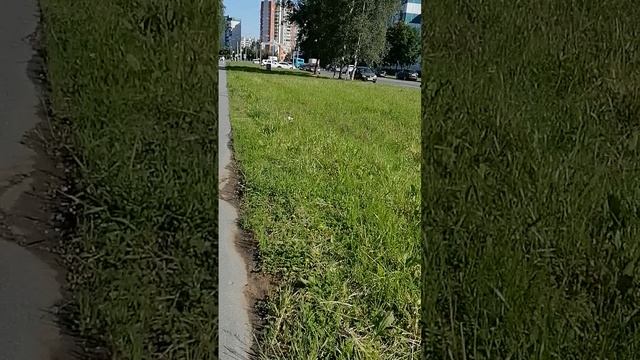Автомобилисты в шоке, им жарко в тачке