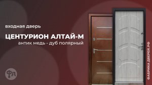 Термодверь АЛТАЙ-М Центурион в цвете Антик медь - Дуб полярный. Видеообзор