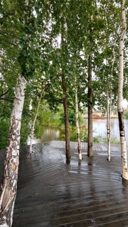 Человеку знать не дано, сколько времени будет он жить...