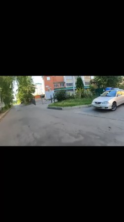 Паркусорка 2 г.Чебоксары || Паслен гибридный, солнечная столица чувашии, город над волгой, ПФО