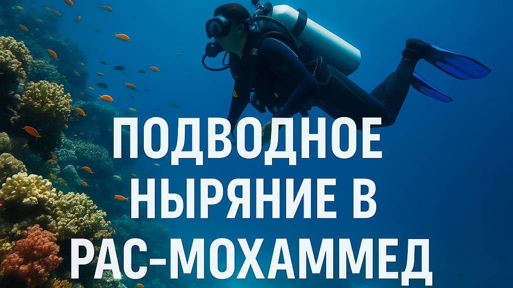 Египет| Дайвинг в Рас-Мохаммед