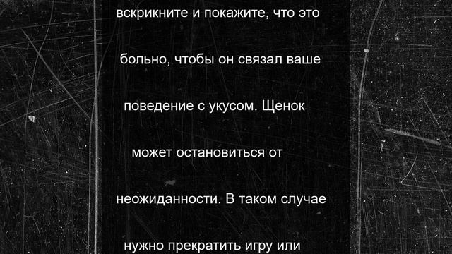 Петербуржцам посоветовали изобразить боль во время укуса щенка