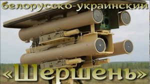 Белорусско-украинский «Шершень»