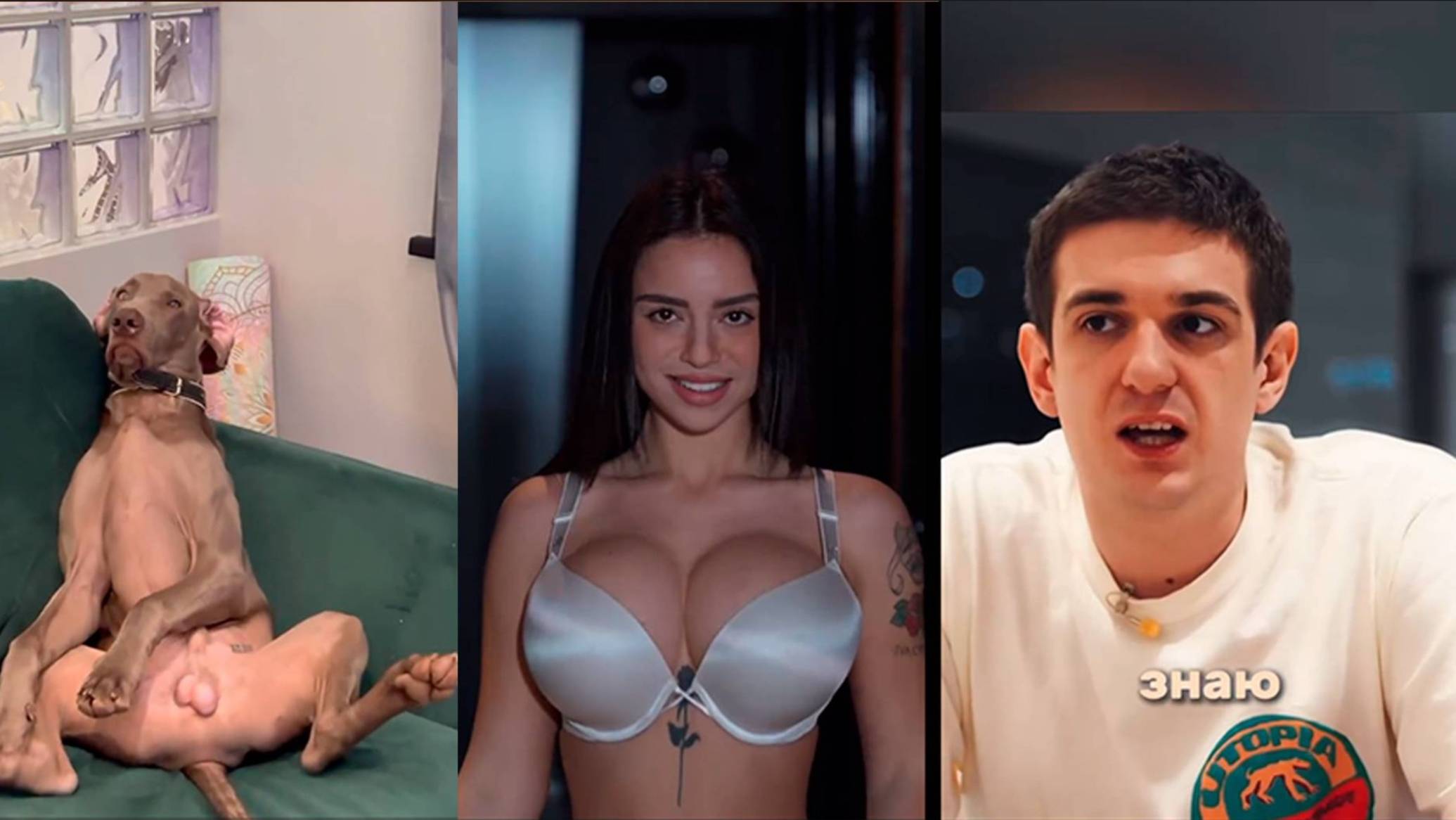 ОТБОРНЫЕ ПРИКОЛЫ  REELS 2025  INSTAGRAM REELS  BORZO REAL(6)