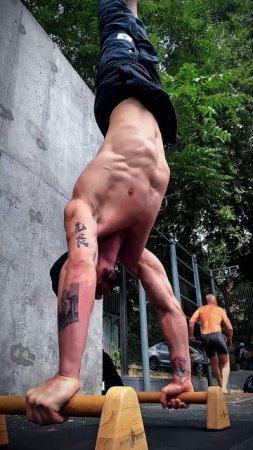 Отжимания в стойке на руках с паралетсами Backwood от @Ivan_Calisthenics