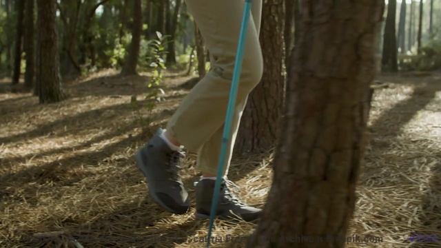Пейзажи под трек, который разрывает чарты - Ants In My Pants -- SUPERARE -- II