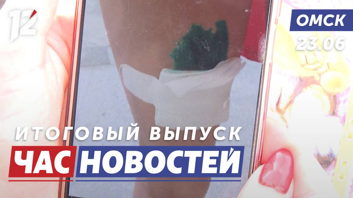 Собаки напали на ребёнка / Спасли совёнка / Ремонт автодорог. Новости Омска