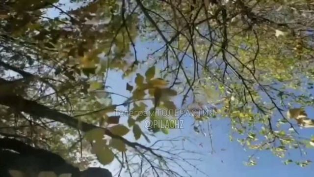 🔞Укроп в прямом эфире заснял как в него влетел наш дрон🔞