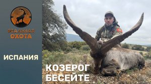 КОЗЕРОГ БЕСЕЙТЕ | ИСПАНИЯ | РЕАЛЬНАЯ ОХОТА