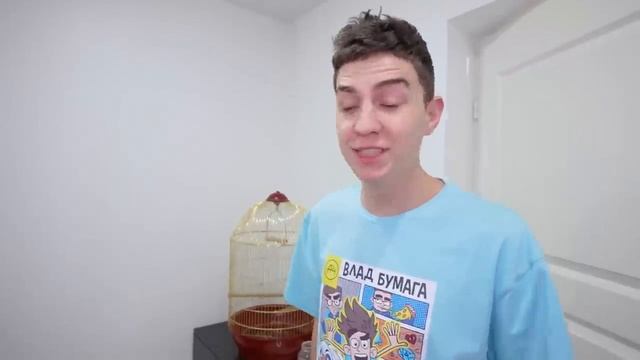 А4 Стали НЯНЯМИ для ЖИВОТНЫХ на 24 Часа !