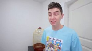 А4 Стали НЯНЯМИ для ЖИВОТНЫХ на 24 Часа !