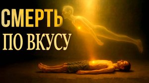 СОЛЬ ВРЕД ДЛЯ ЗДОРОВЬЯ