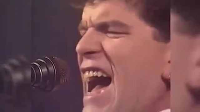 Nazareth.Animals