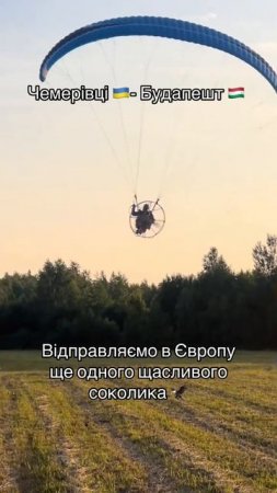 Побег из свинарника