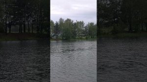 На улице свежо после сильного ливня, приехал купаться на водоём Карпятник на велосипеде