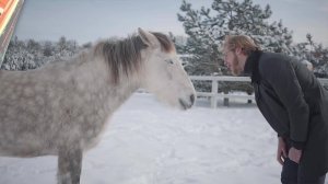 Новогодняя открытка - 2025. Кто сказал, что нельзя? (2)