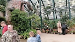Субтропики Ботанического сада МГУ 😉🌸