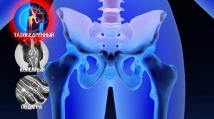 МАТРИЦЫ-ГАРЯЕВА.РФ АРХИВ: НОВИНКА 2025: Матрицы Гаряева для Восстановления всех Суставов Ног 2025