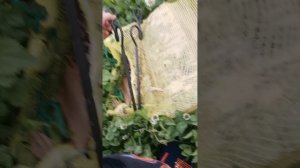Обыкновенный дом