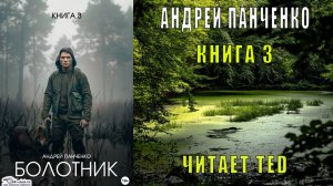 Андрей Панченко "Болотник" (Книга 3)
