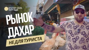 🤯 СКРЫТЫЙ РЫНОК ДАХАР | ТЫ ОБЯЗАН ЭТО УВИДЕТЬ | НЕ ТУРЕСТИЧЕСКИЙ ЕГИПЕТ | Где закупаются местные?