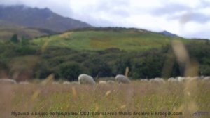 Музыка для слияния с искусственным интеллектом - готовы ли вы стать больше, чем человек - Die weisse