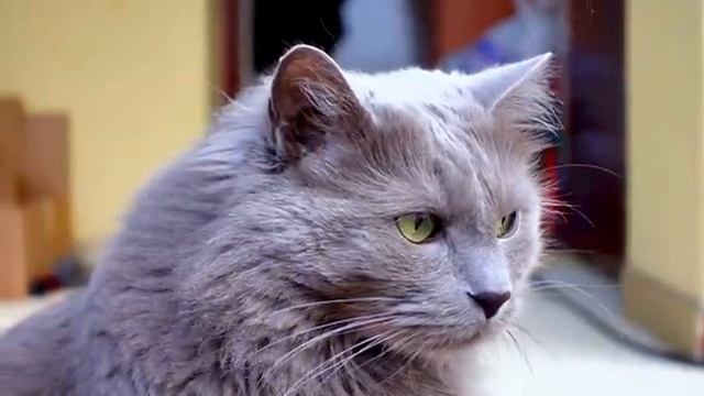 Покой природы под аккомпанемент тёплого ветра – Часть 23