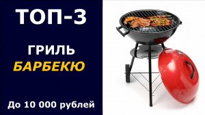ТОП-3. Угольный гриль-барбекю до 10 000 рублей