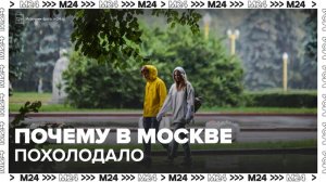Синоптик объяснил похолодание в Центральной России - Москва 24