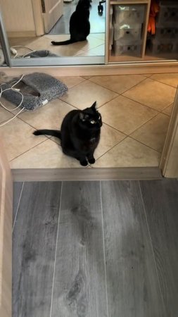 🐈Фишки колонки Алиса ч.7
Немного ностальгии 🥹