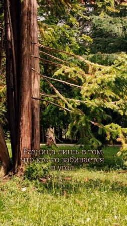 На какой стороне вы? Виктория Калинина - ЦЭХ