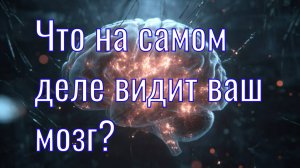 Мозг – машина предсказаний: как мы видим то, чего нет.